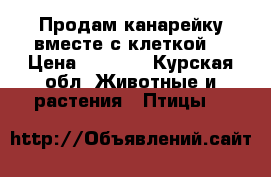 Продам канарейку вместе с клеткой  › Цена ­ 1 000 - Курская обл. Животные и растения » Птицы   